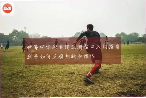 体彩竞猜有哪些常见玩法？新手入门指南